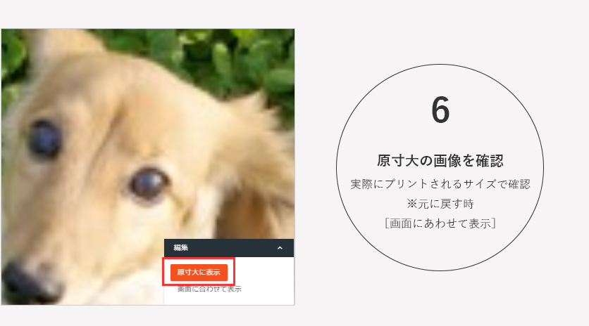 原寸大で確認