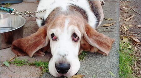 解像度：300dpi推奨