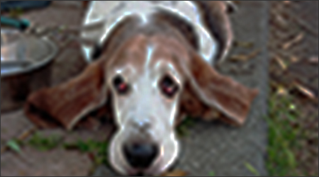 解像度：300dpi推奨